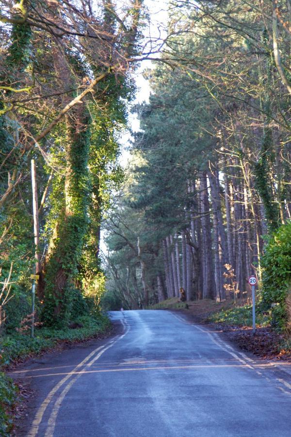 Formby Pinewood Studio住宿加早餐旅馆 外观 照片